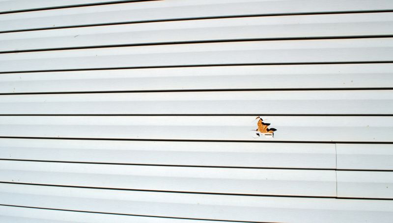 Siding Repair in Progress